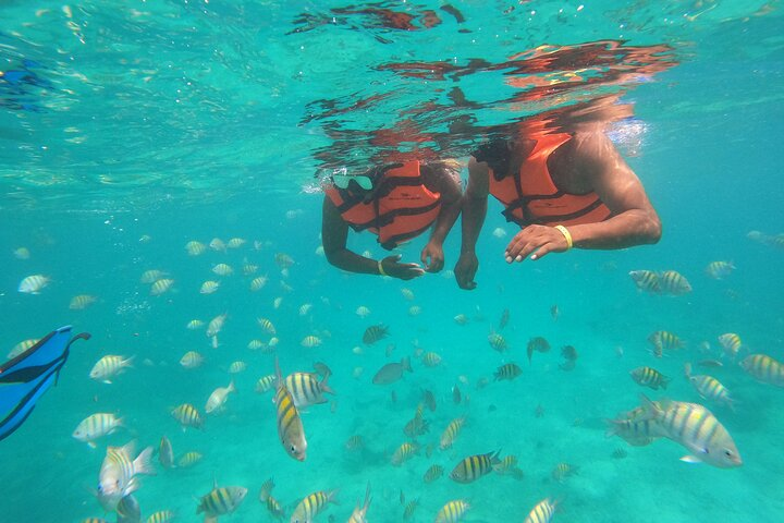 Half-Day Snorkeling Cruise and Natural Pool with Open Bar - Photo 1 of 25